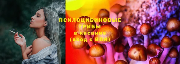 амф Балахна