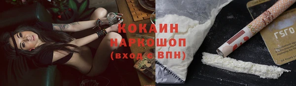 прущие грибы Балабаново