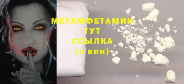 прущие грибы Балабаново