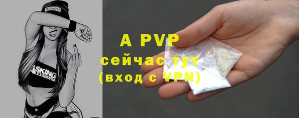 амф Балахна