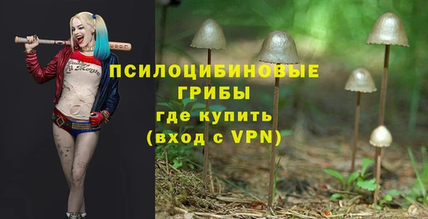 прущие грибы Балабаново