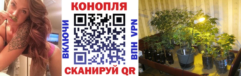 Бошки марихуана индика  закладки  Ханты-Мансийск 